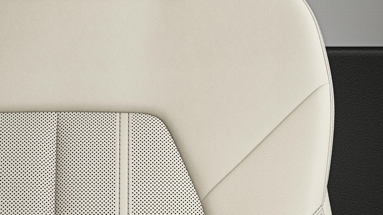 Vehicle interior color