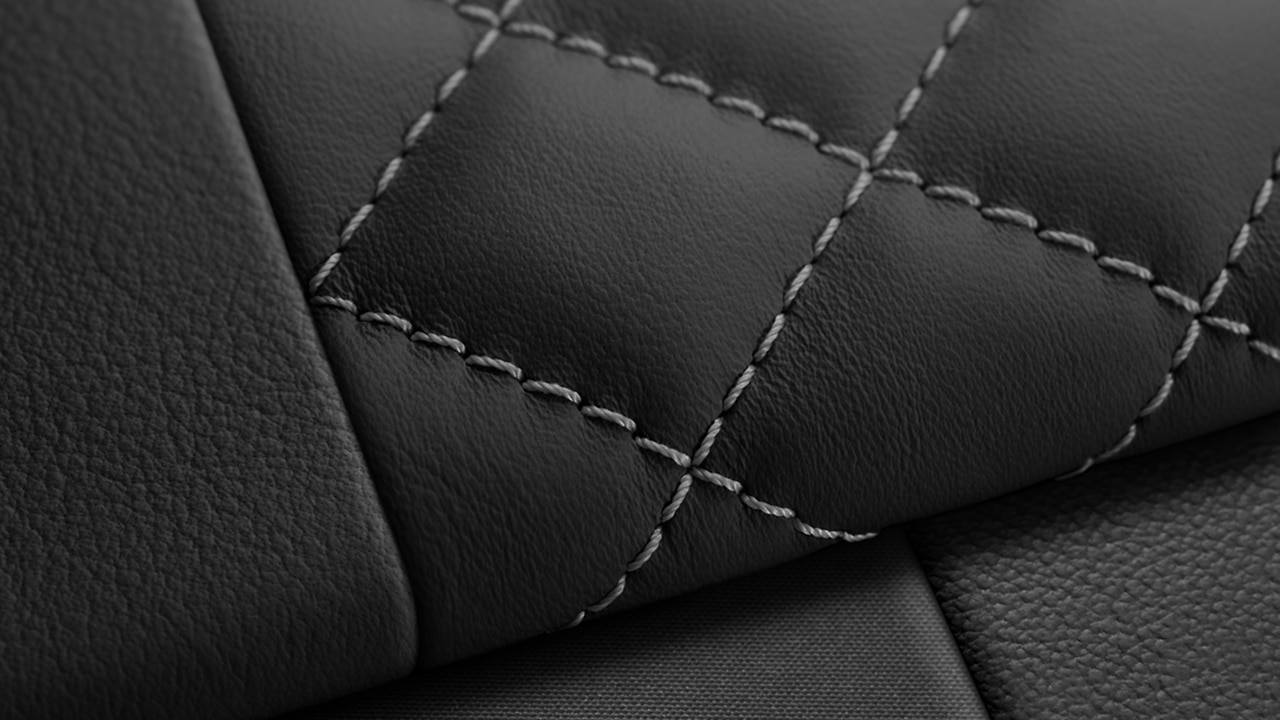 Vehicle interior color