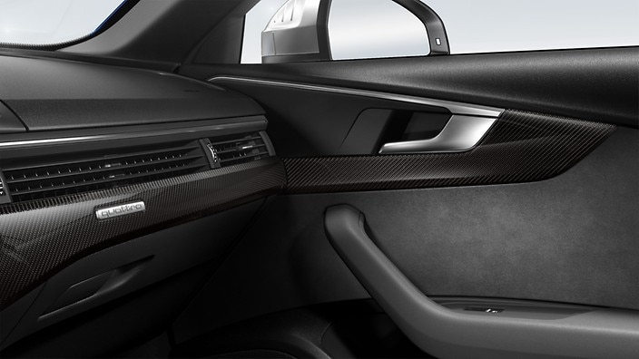 Carbon Atlas inlays