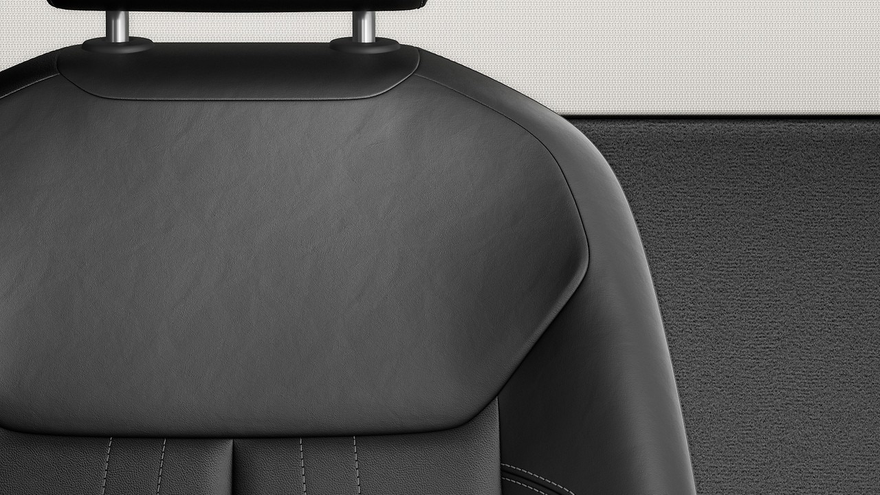Vehicle interior color