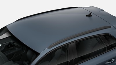 Roof rails in black