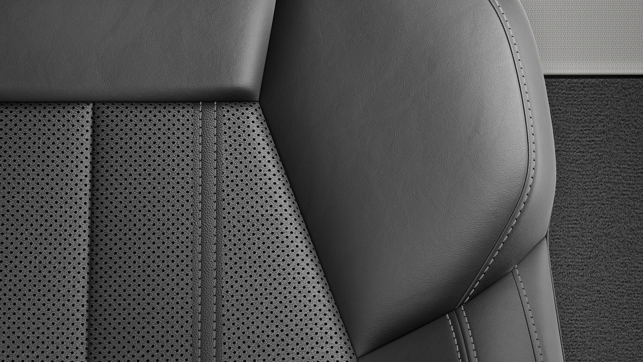 Vehicle interior color