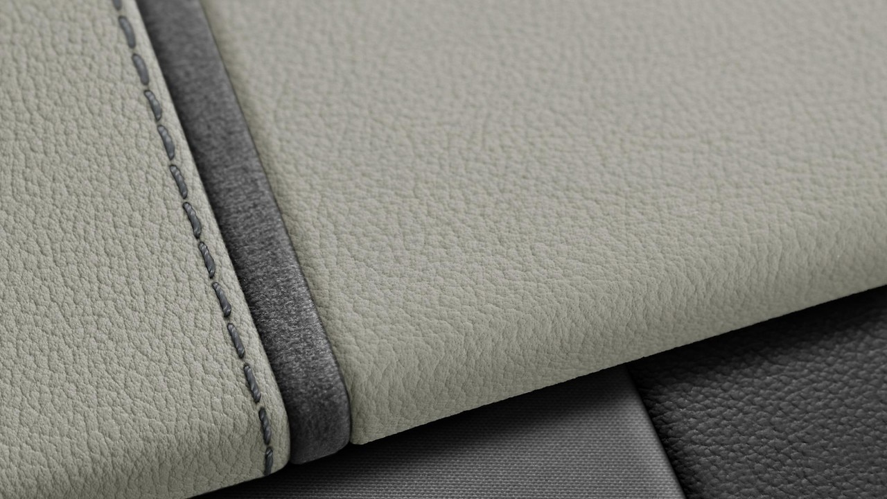 Vehicle interior color