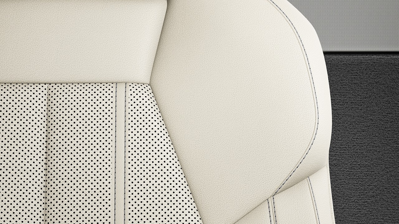 Vehicle interior color