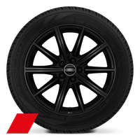 Velgen Audi Sport, 10-spaak-ster, zwart metallic, 7,0Jx17, bandenmaat 205/55 R17