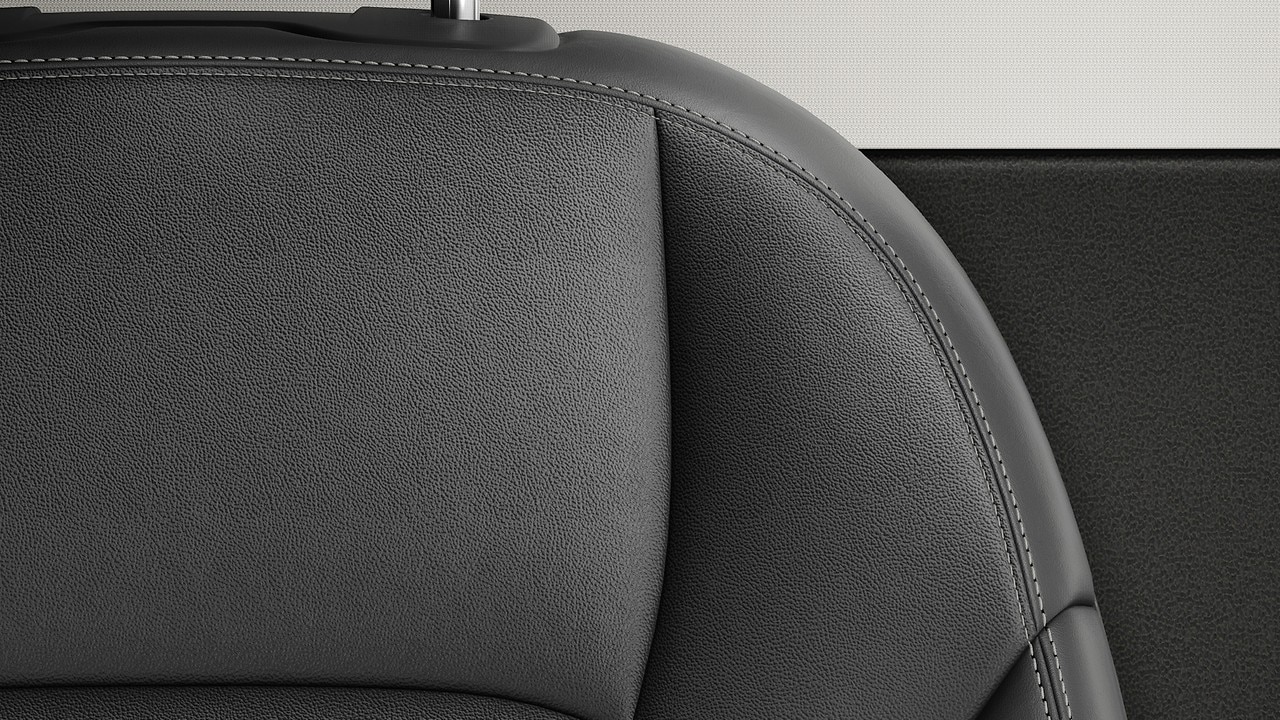 Vehicle interior color