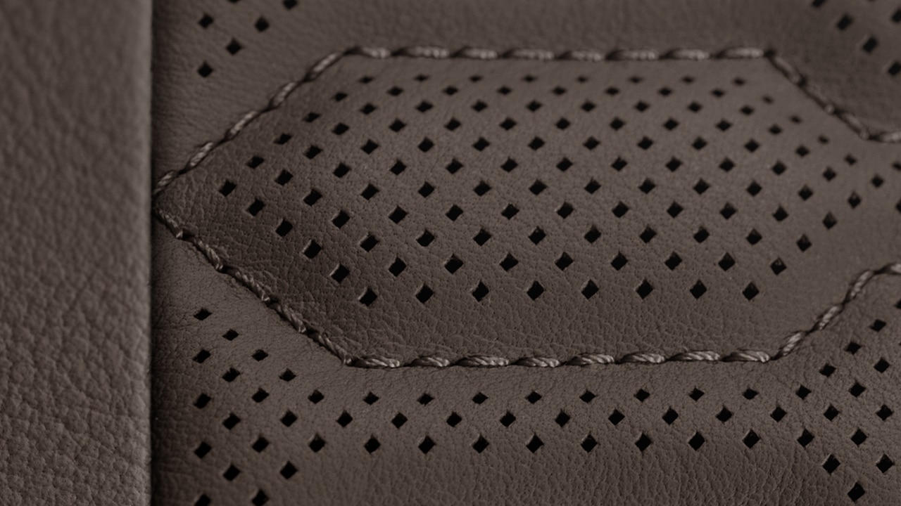 Vehicle interior color