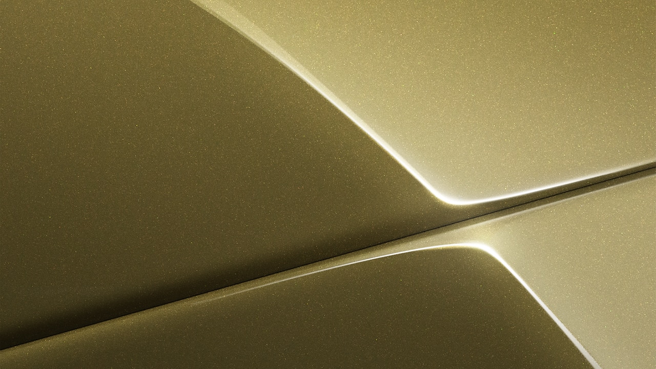 Vehicle exterior color