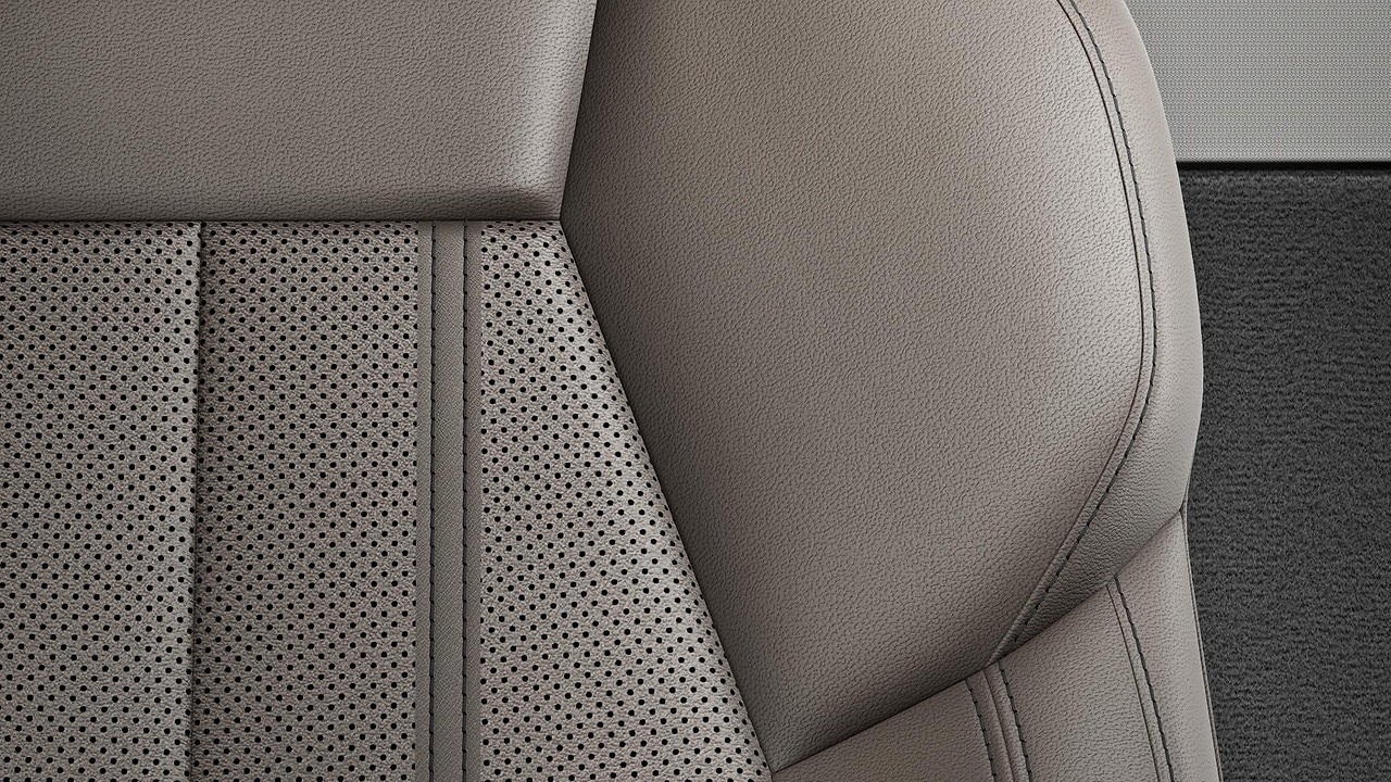 Vehicle interior color