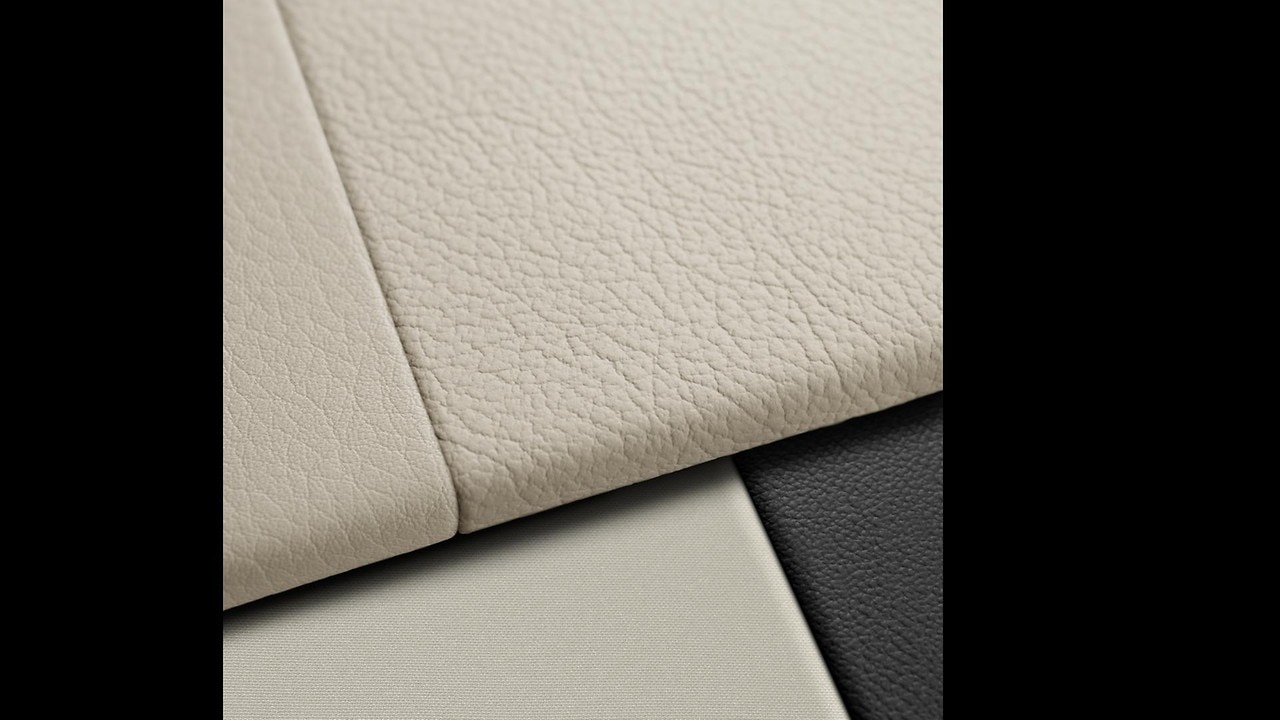 Vehicle interior color