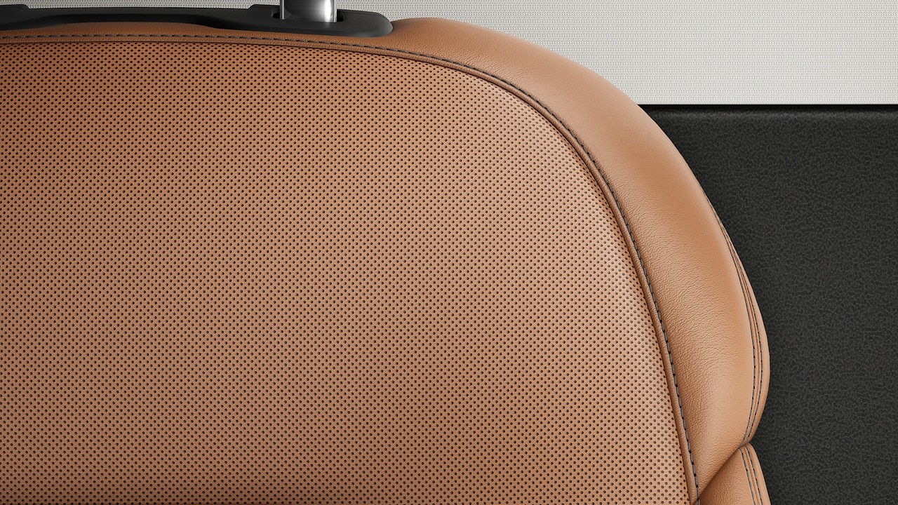 Vehicle interior color