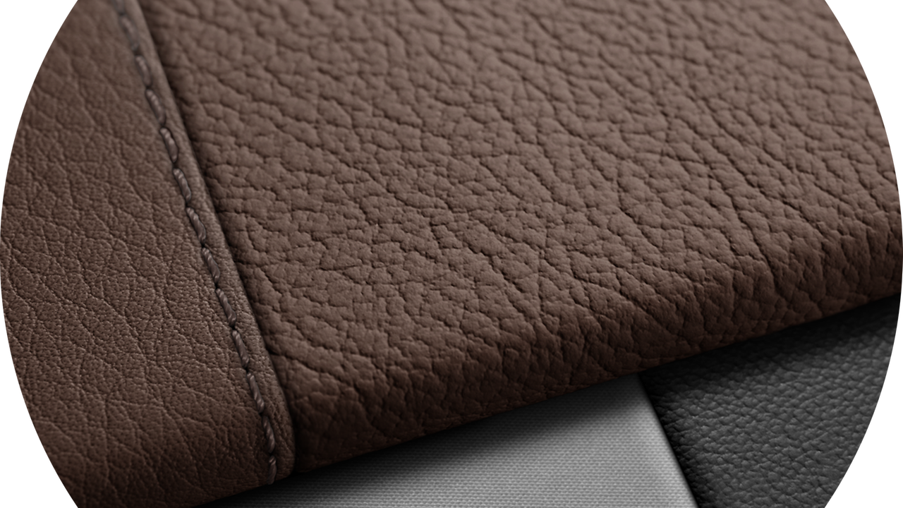 Vehicle interior color