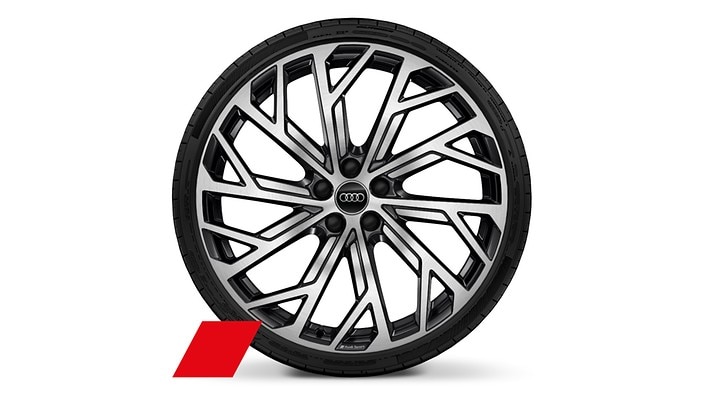 21" 10-Y-spoke Evo-design wheels