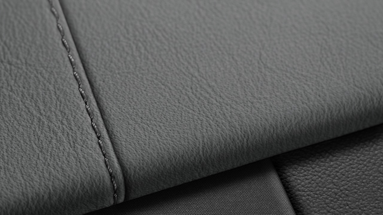 Vehicle interior color