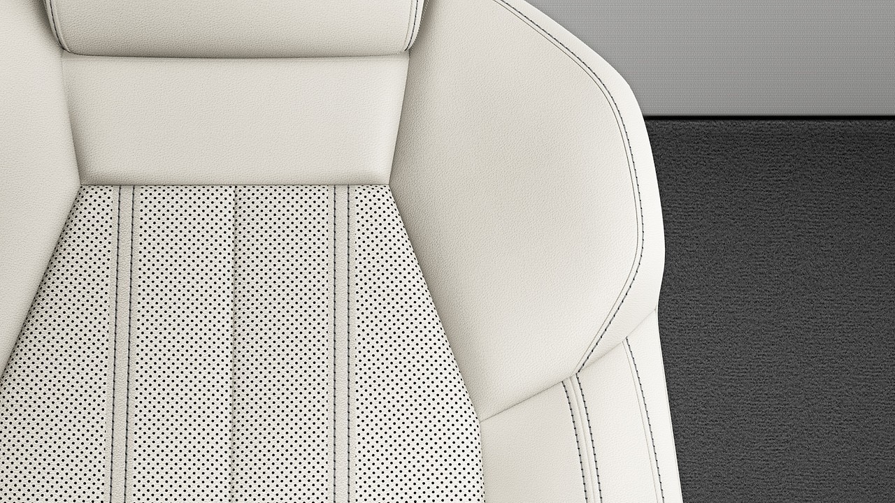 Vehicle interior color