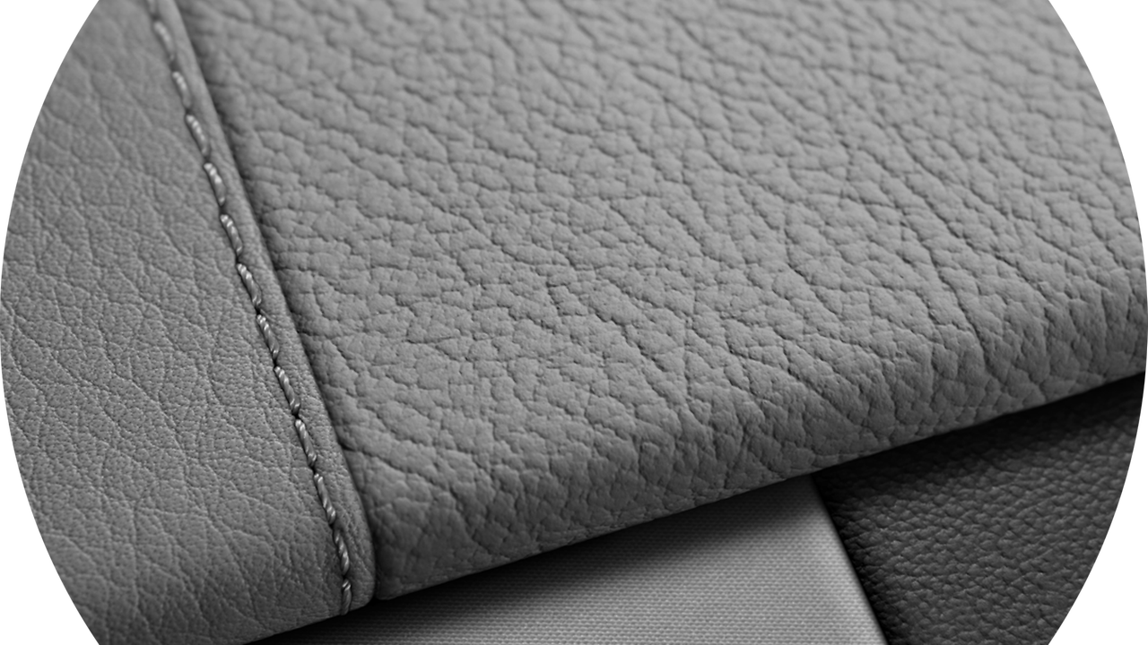 Vehicle interior color