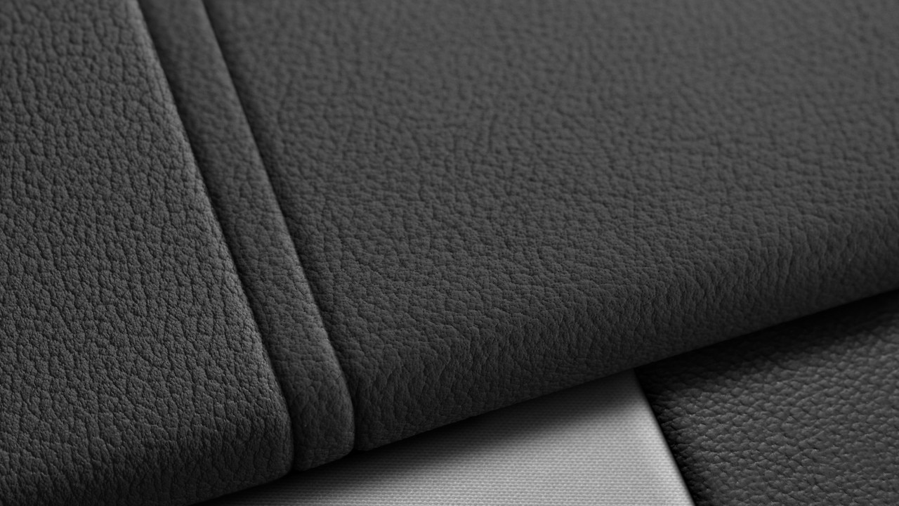 Vehicle interior color