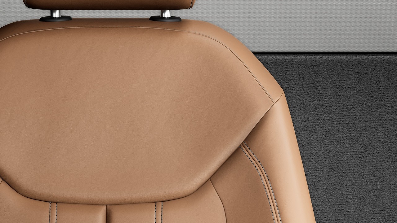 Vehicle interior color