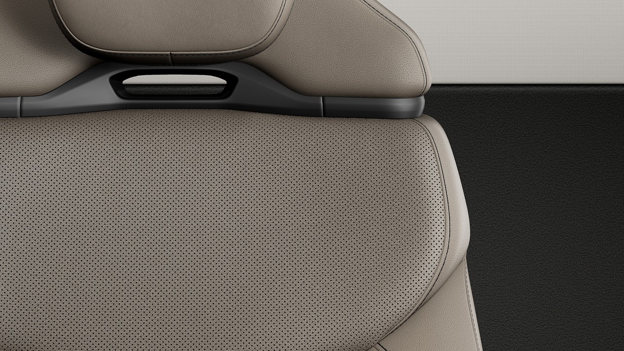Vehicle interior color