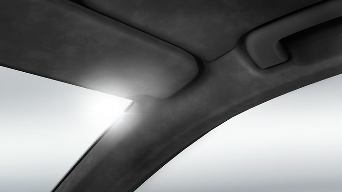 Black Alcantara® headliner