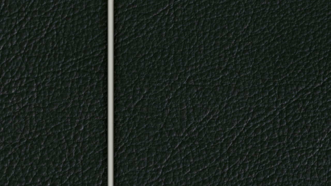 Vehicle interior color