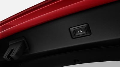 Luggage compartment lid, electrically opening and closing