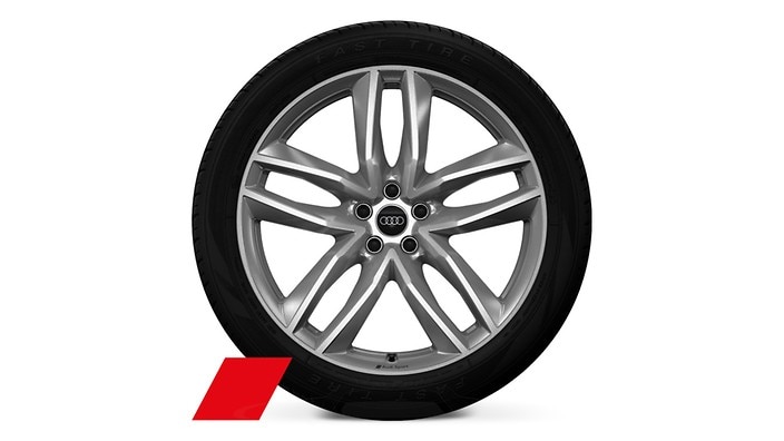21" 5-double-spoke design wheels