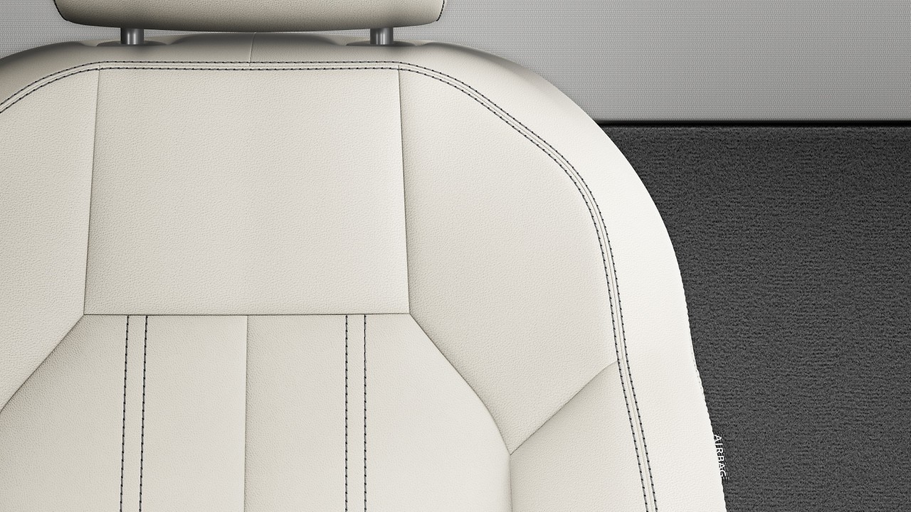 Vehicle interior color