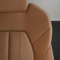 Vehicle interior color