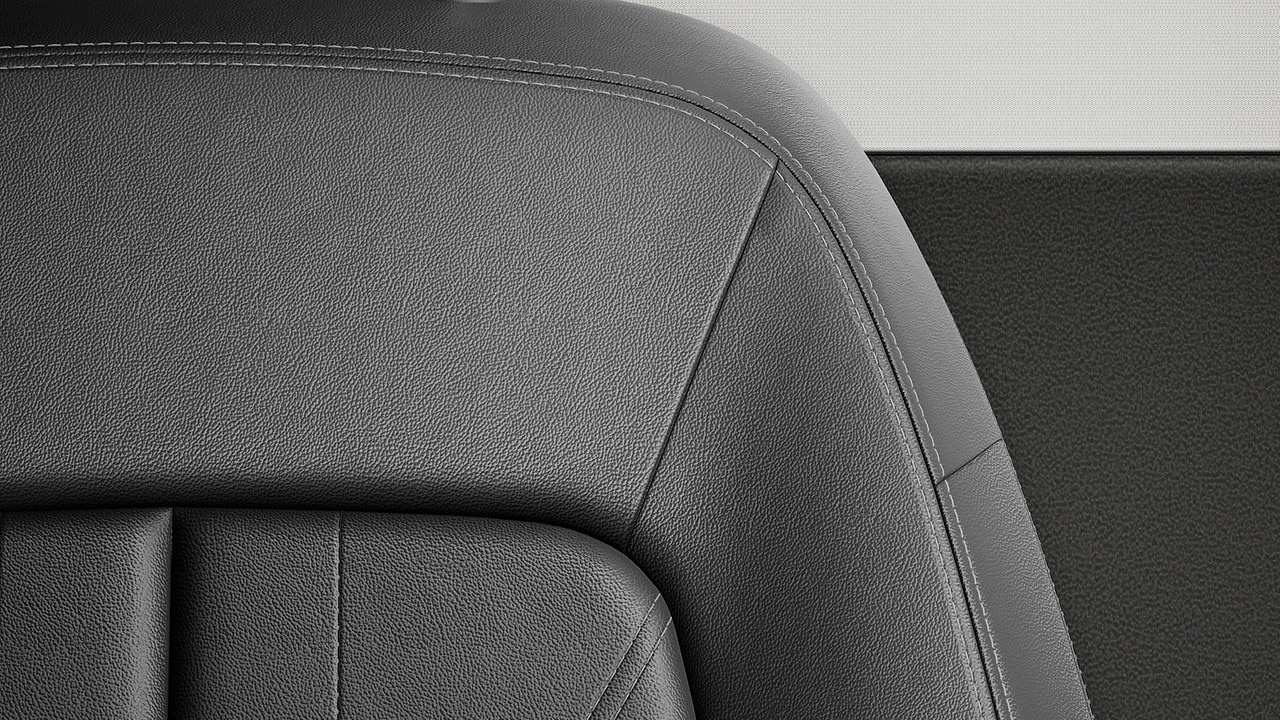 Vehicle interior color