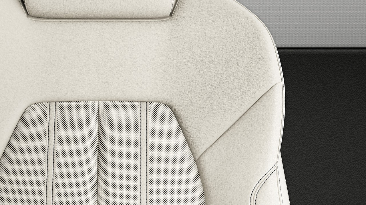 Vehicle interior color
