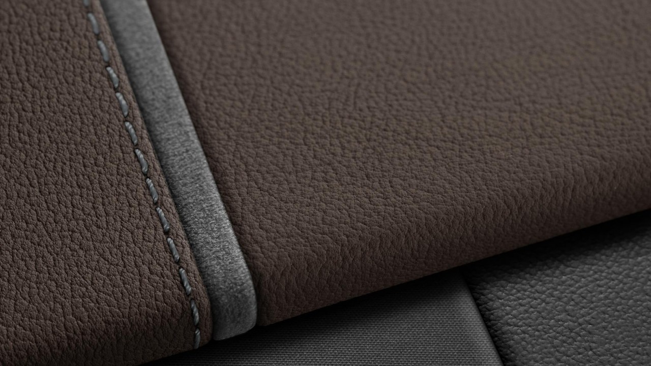 Vehicle interior color