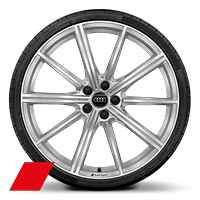 21" 10-V-spoke star design, silver, cast aluminum wheels