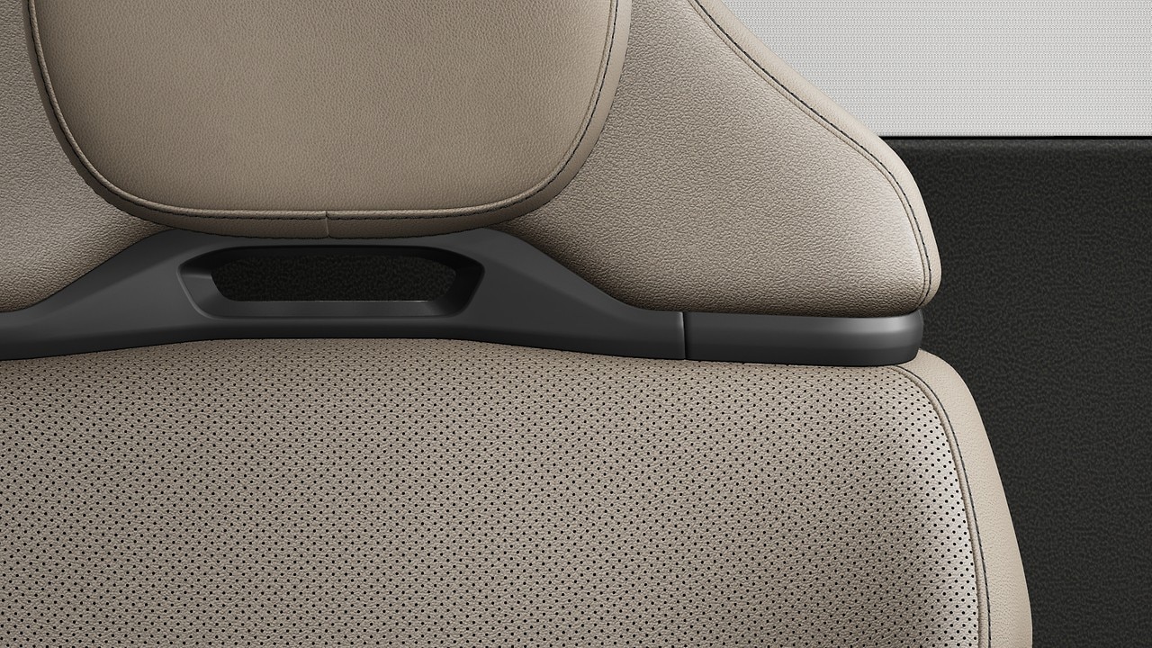 Vehicle interior color