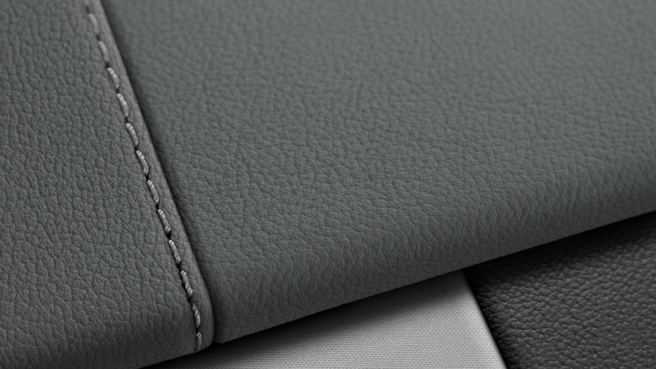 Vehicle interior color