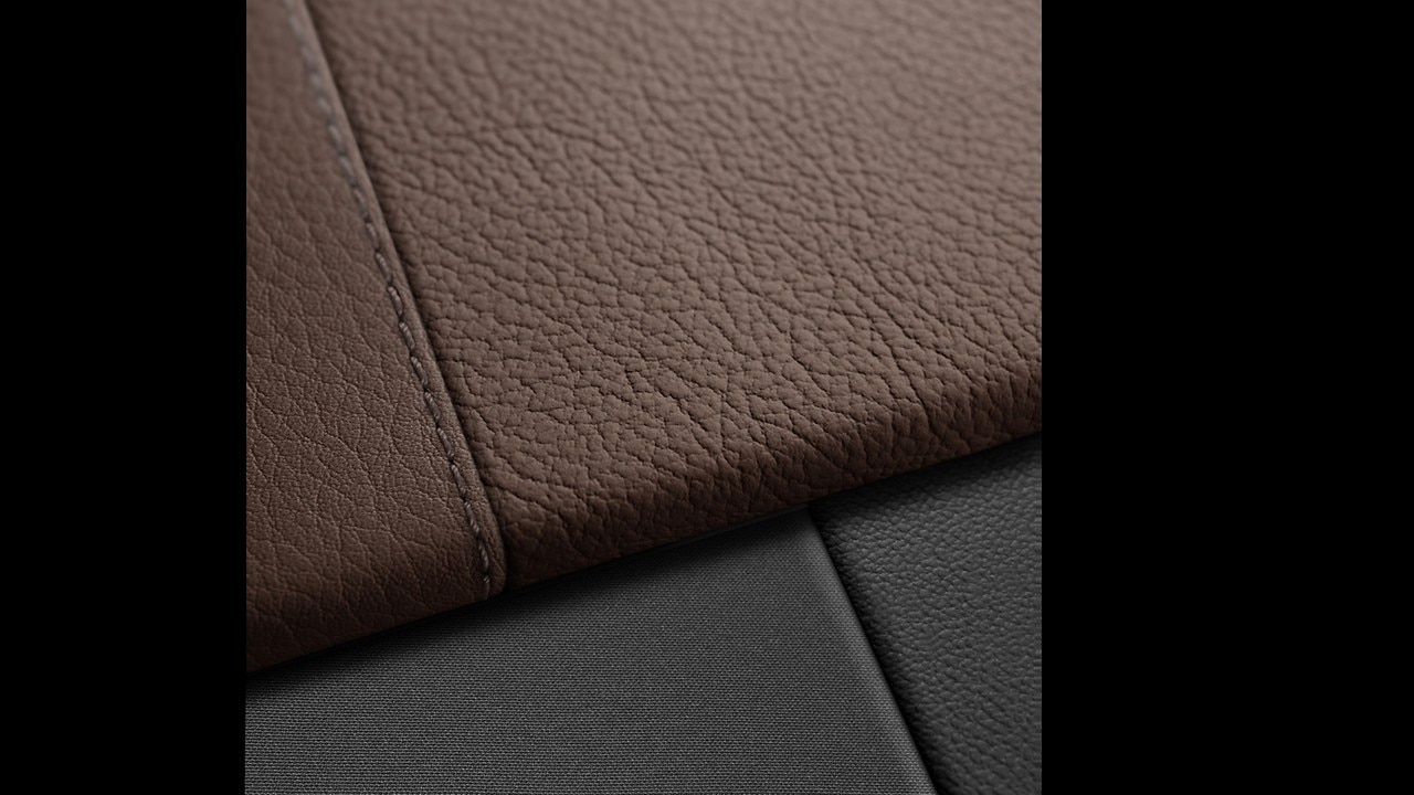 Vehicle interior color