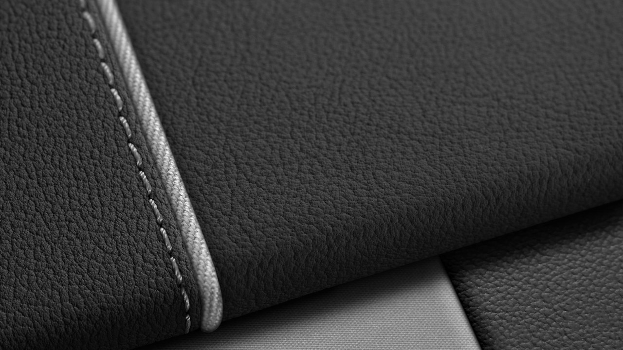 Vehicle interior color