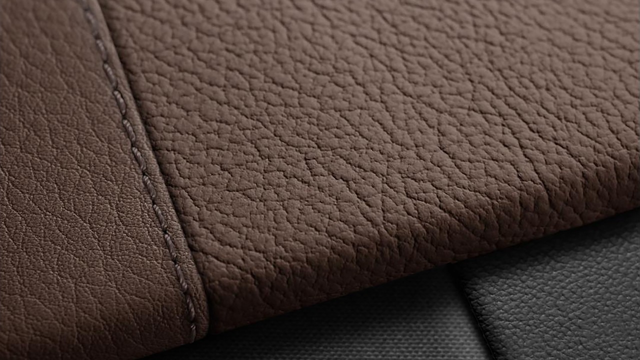 Vehicle interior color