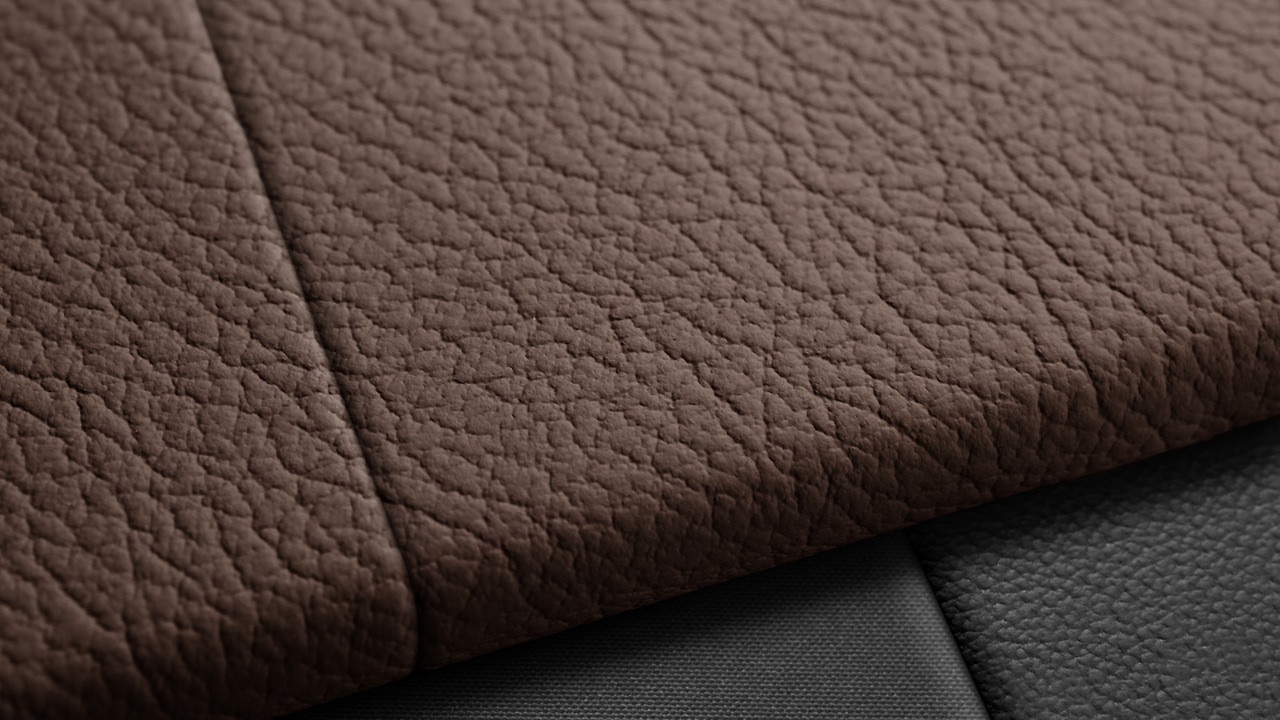 Vehicle interior color