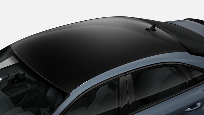 Black roof