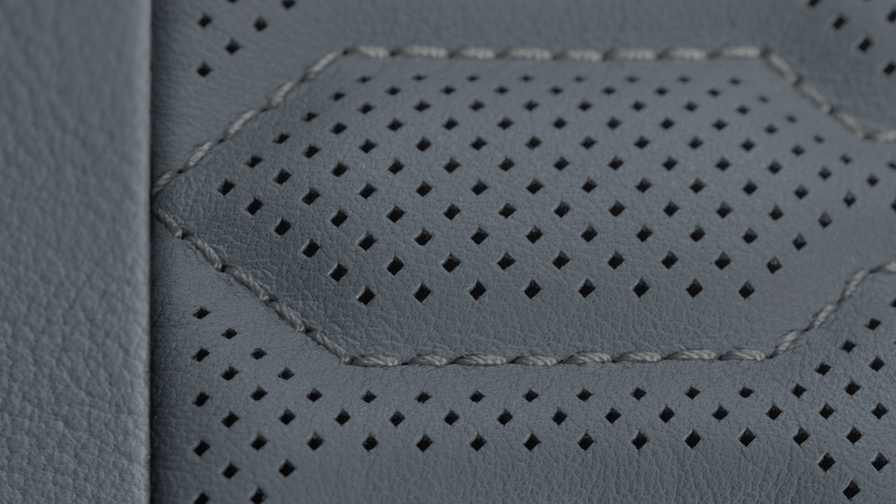 Vehicle interior color