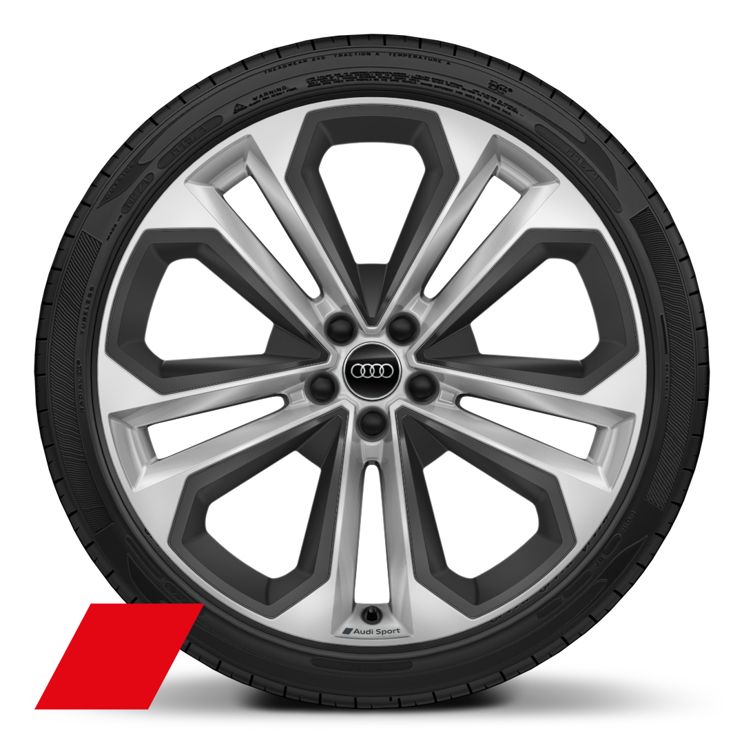 Cerchi Audi Sport, design a 5 razze doppie mod., inserti Grigio Struttura Opaco, 8,5J x 21, pneumatici 255/40 R21
