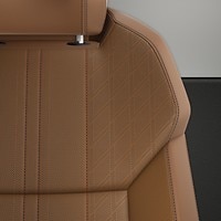 Vehicle interior color