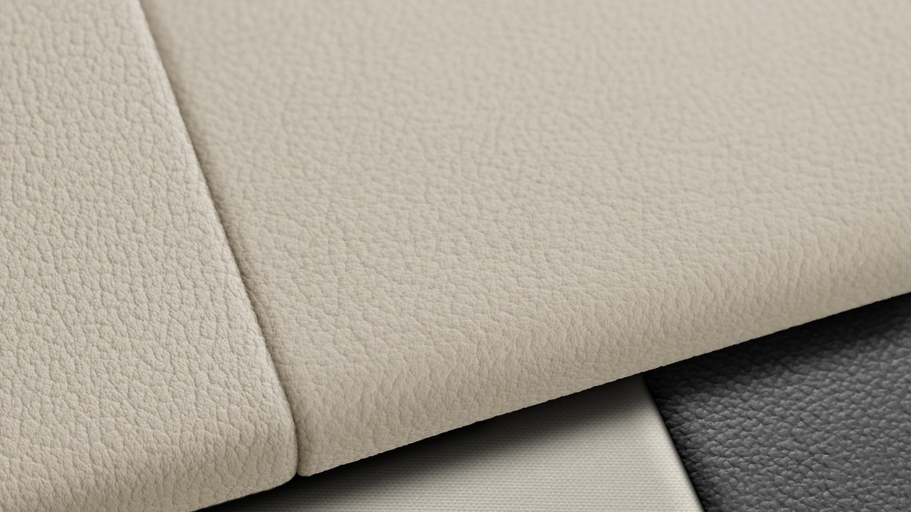 Vehicle interior color