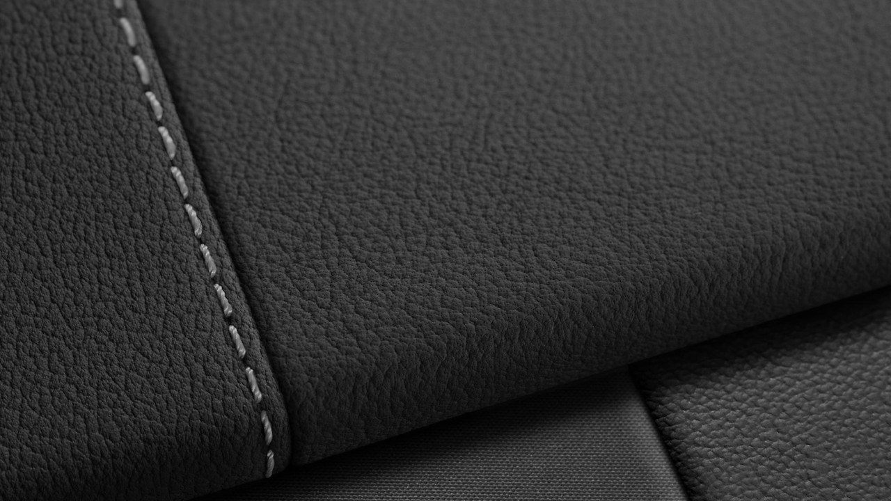 Vehicle interior color