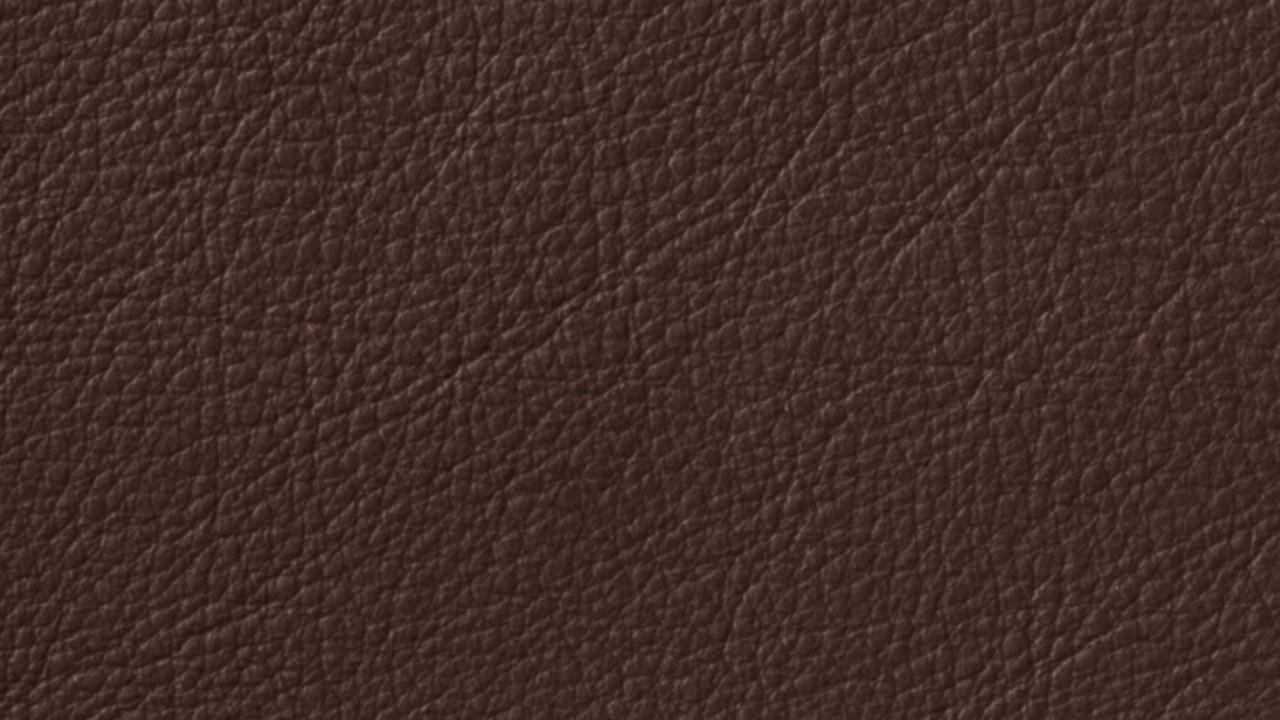 Couleur intérieure du véhicule
