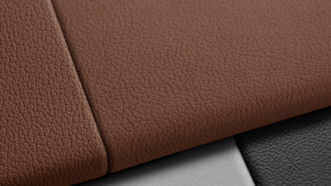 Vehicle interior color