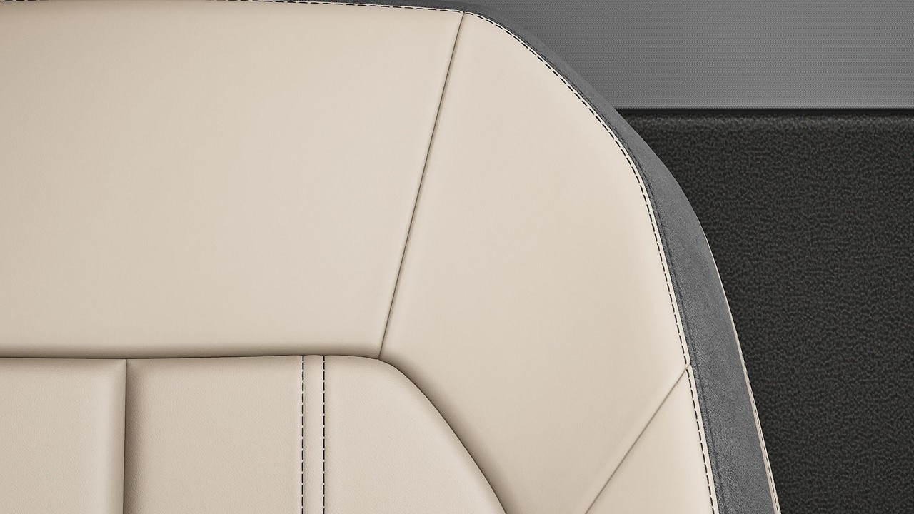Vehicle interior color