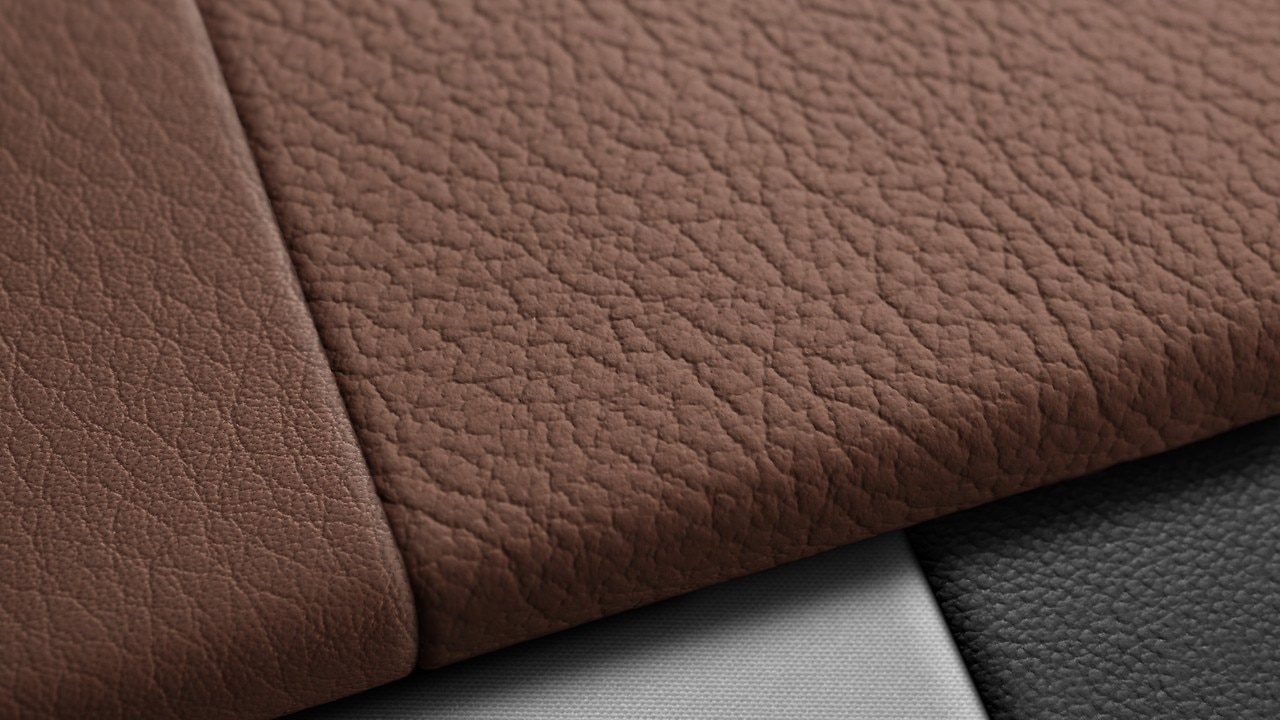 Vehicle interior color