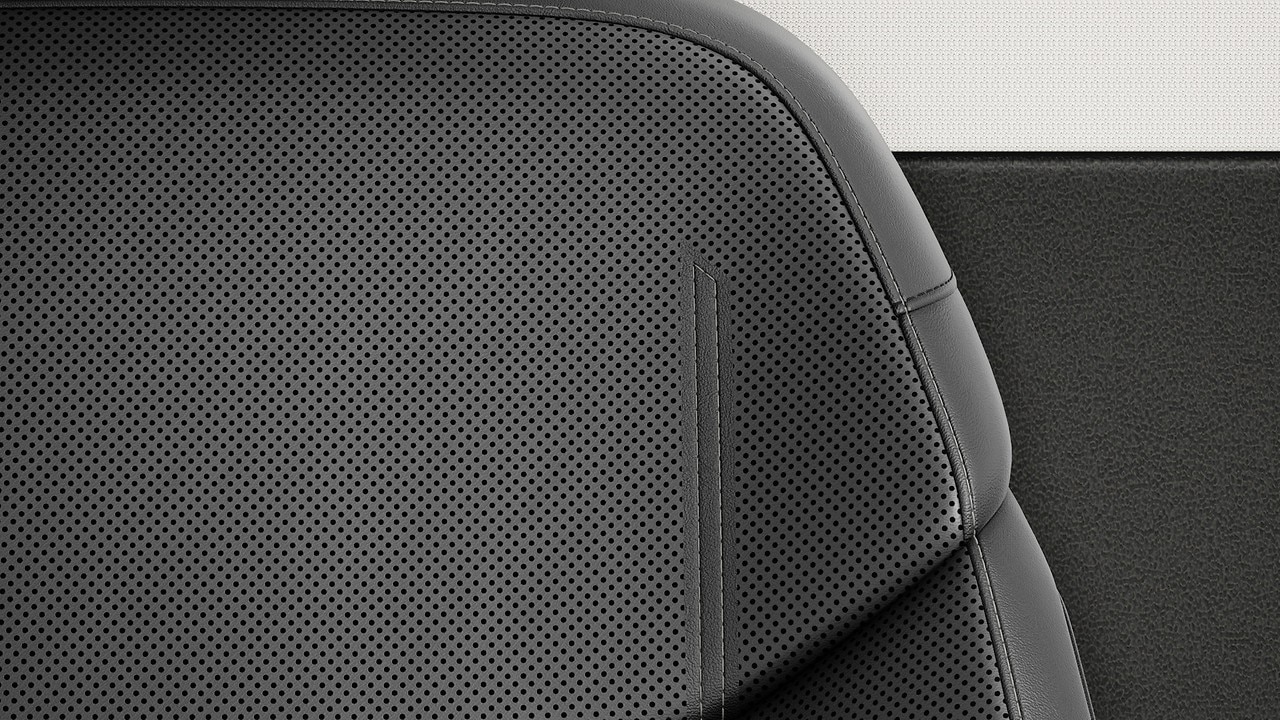 Vehicle interior color